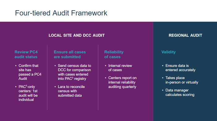 Four-tiered audit framework